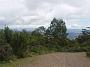 elands-bulga 037